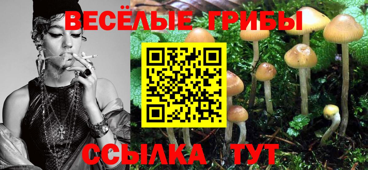 купить  цена  Галлюциногенные грибы Psilocybe  Вход с VPN  Псилоцибиновые грибы GOLDEN TEACHER  Ливны 